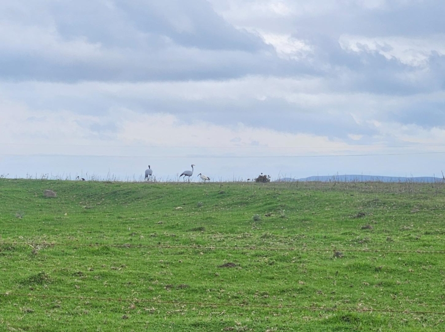 2 Bedroom Property for Sale in Baardskeerdersbos Western Cape